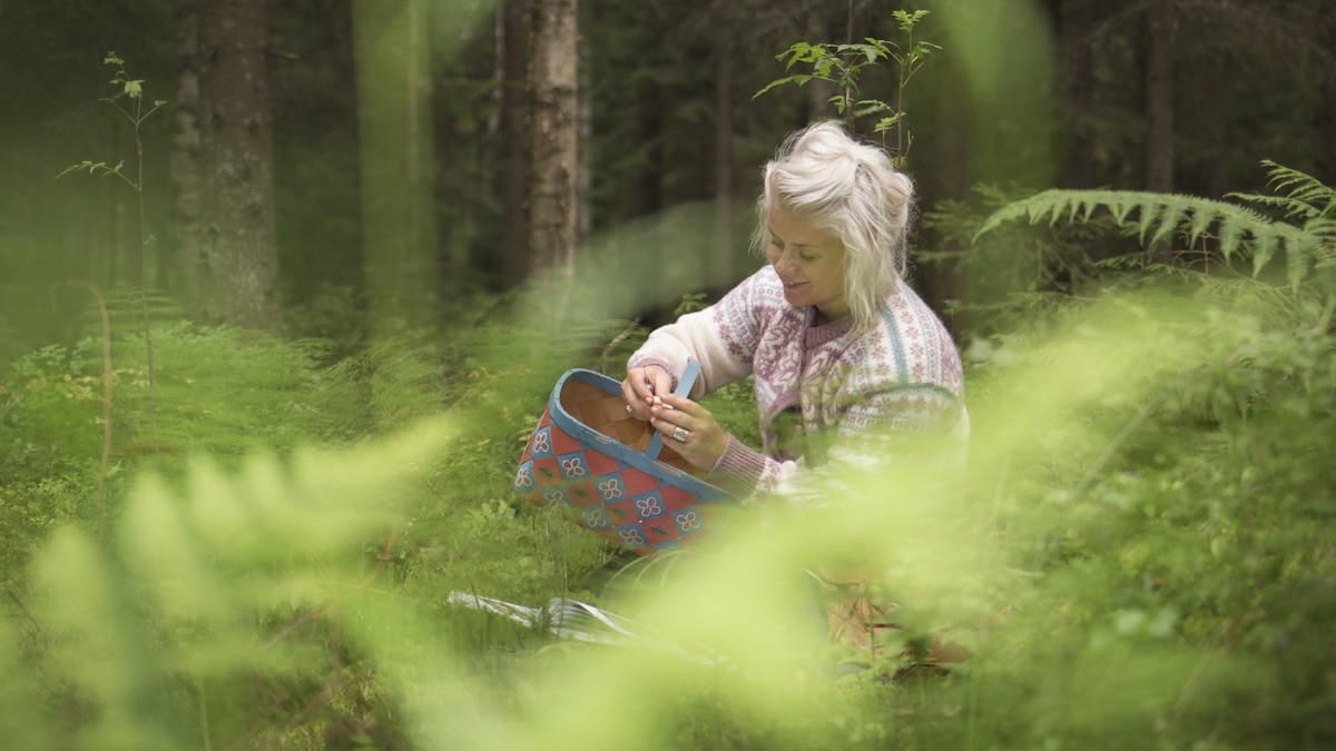 Ätliga vilda växter och utematlaging