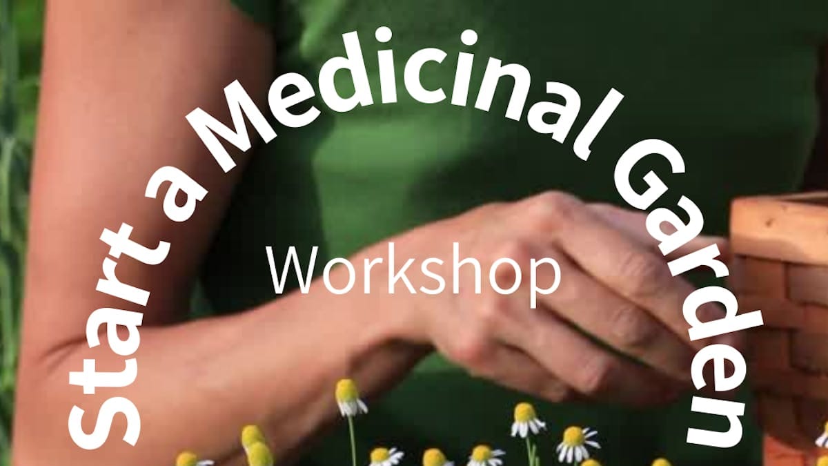 Start your own medicinal garden